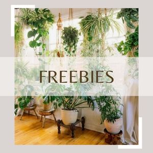🔥 Freebies with bundle